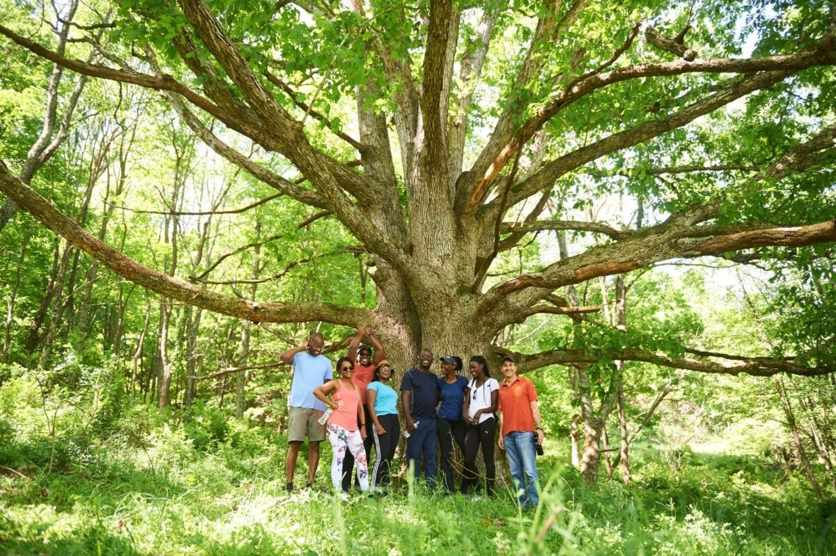 Corporate-retreatsTeam-Building-Group-Gatherings