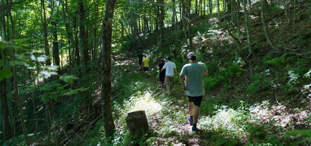 hiking-trails