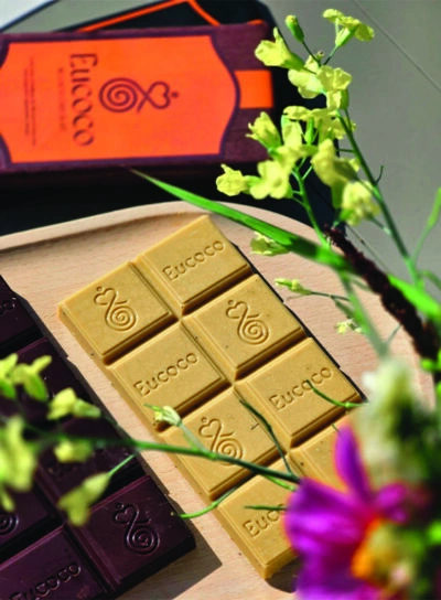 wellness-chocolate-image1