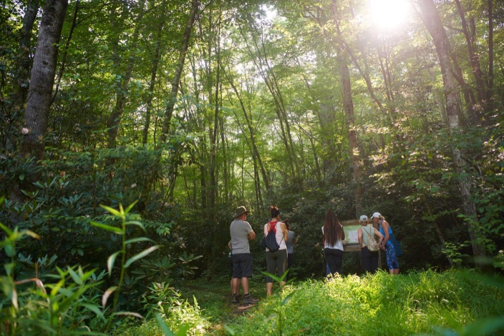 Hiking the trails at Eupepsia